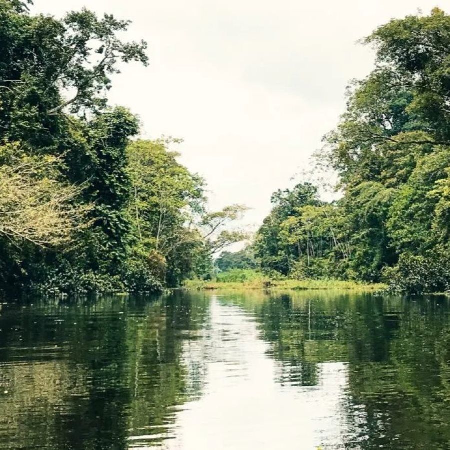 rio amazonas tour tribu jaguar colombia